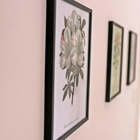 Stone House Affittacamere Ponta Delgada