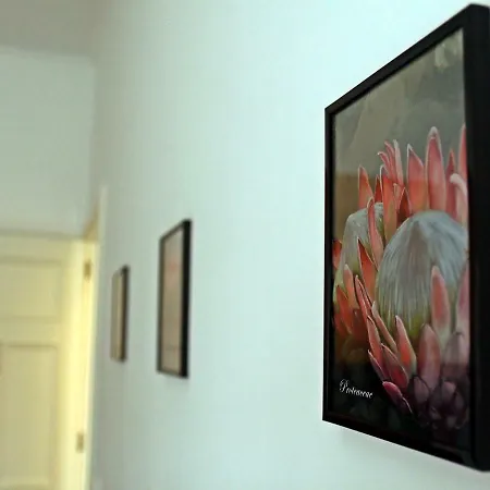 Stone House Affittacamere Ponta Delgada