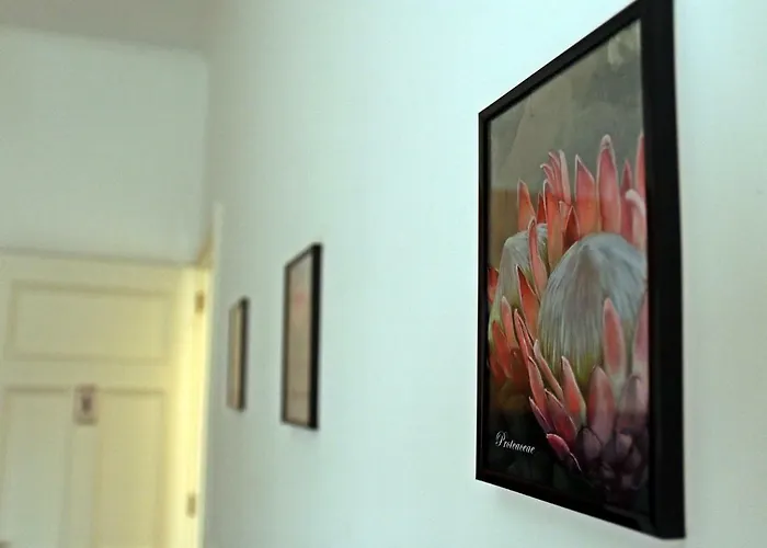 Stone House 게스트하우스 Ponta Delgada