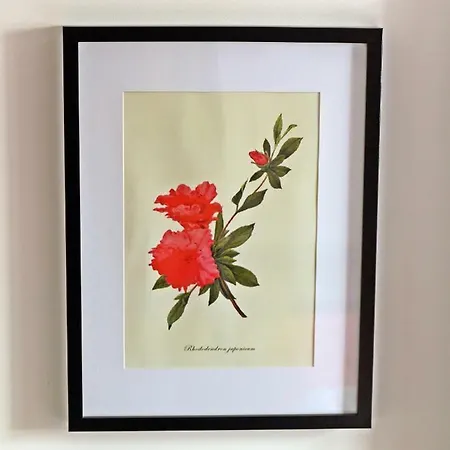 Guest house Stone House *