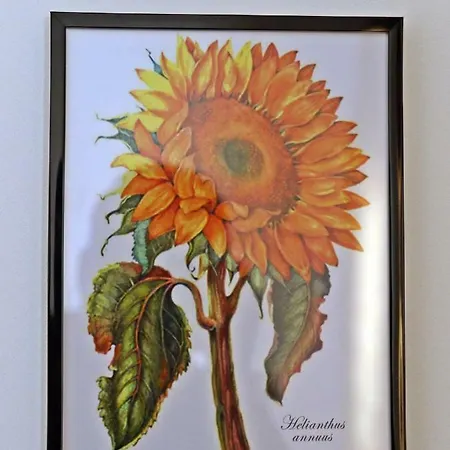 Stone House Casa de hóspedes Ponta Delgada