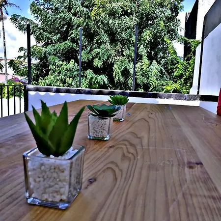 בית הארחה Stone House Ponta Delgada