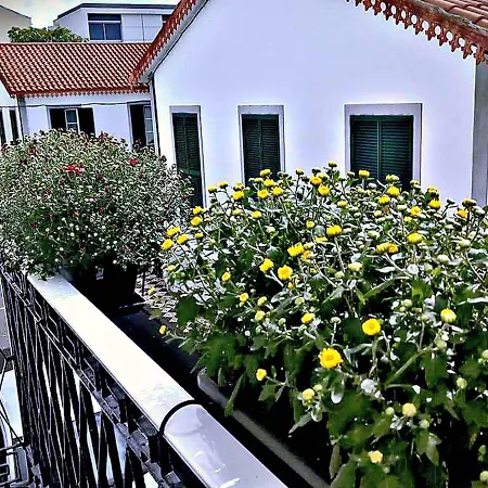 Stone House Ponta Delgada (Sao Miguel)