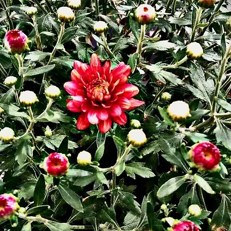 Stone House Guest house