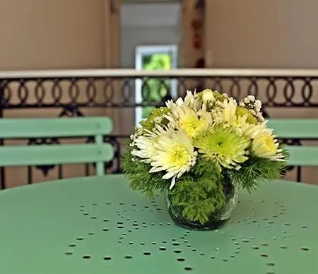 Guest house Stone House Ponta Delgada (Sao Miguel)