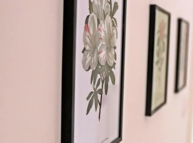 Stone House Gasthof Ponta Delgada