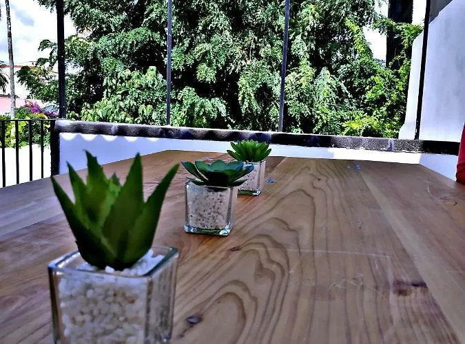 Gæstehus Stone House Ponta Delgada